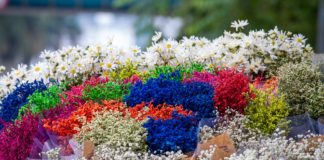 Csaknem 80 díjjal ismerték el a Virágos Magyarország verseny idei nyerteseit