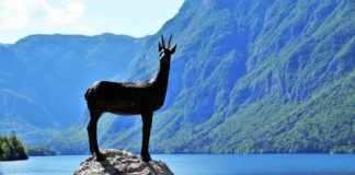 Határokon átívelő élmények – Megjelent a Kárpáteurópa 2026-os körutas katalógusa